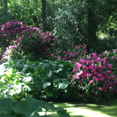 Initial By Balladins Dieppe Otel Saint-Aubin-sur-Scie